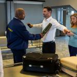 A complete guide to flying with your pets